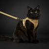 The Great Escape Plan — Bee Plaid Harness & Leash