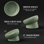 Tilt & Devour — Elevated Ceramic Cat Bowl (Dishwasher Safe, Obviously)
