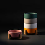 The 'You Deserve Nice Things' Double Ceramic Pet Bowl Set