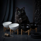 The 'You Deserve Nice Things' Double Ceramic Pet Bowl Set