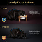 🍽️ The High Table — Elevated Ceramic Slow Feeder Cat Bowl
