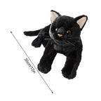 🖤 Black Cat Plush – Soft but Suspicious