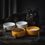 The 'You Deserve Nice Things' Double Ceramic Pet Bowl Set