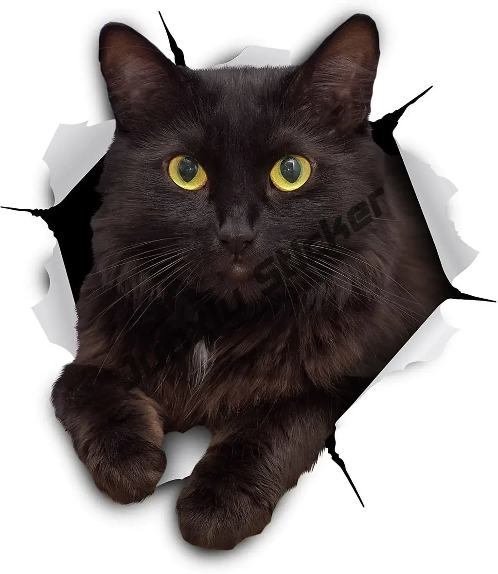 Cursed & Reflective — Black Cat Decal Sticker