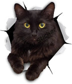 Cursed & Reflective — Black Cat Decal Sticker