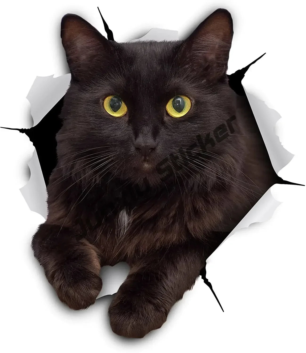 Cursed & Reflective — Black Cat Decal Sticker