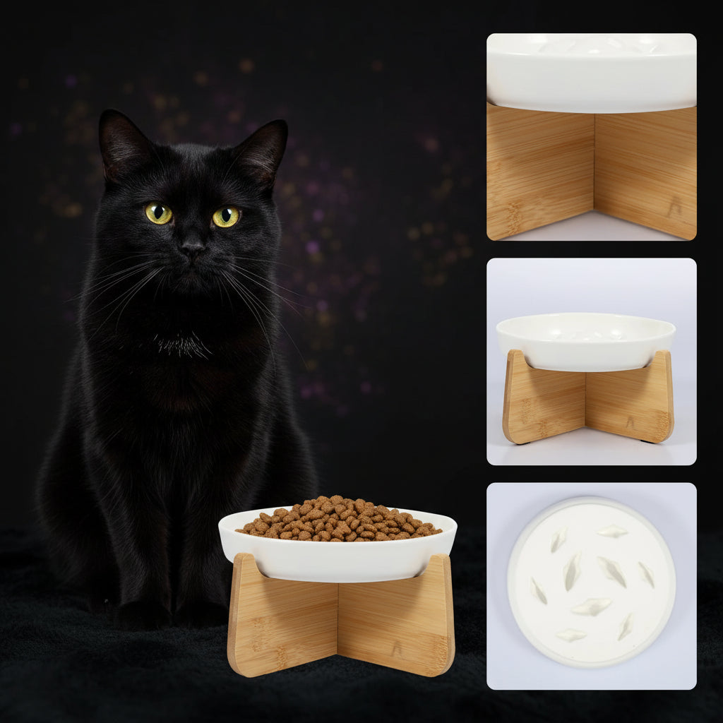 🍽️ The High Table — Elevated Ceramic Slow Feeder Cat Bowl
