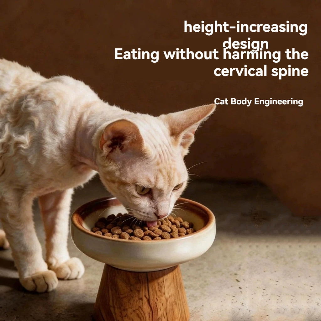 Dine in Style — Elevated Ceramic Cat Bowl with Wood Base