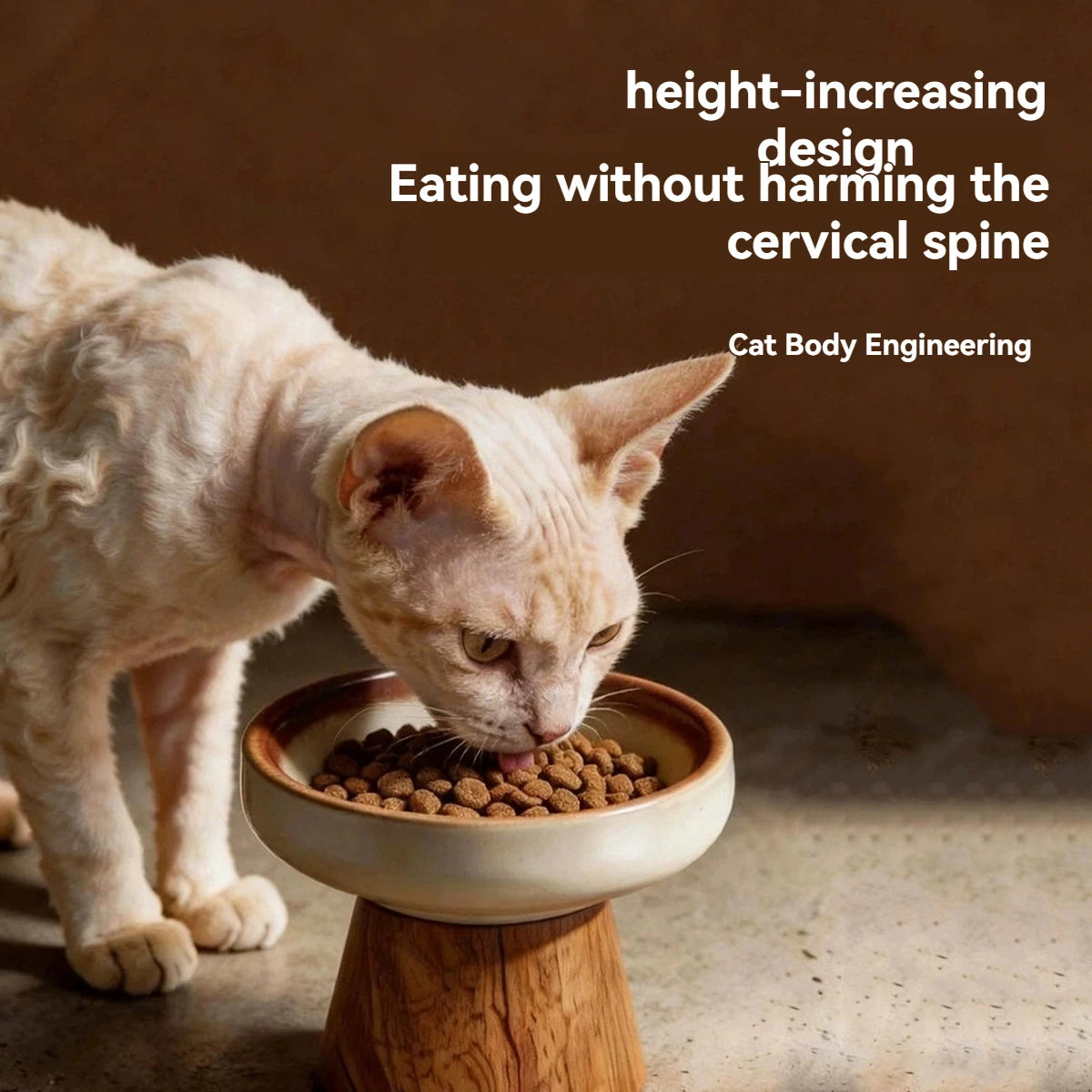 Dine in Style — Elevated Ceramic Cat Bowl with Wood Base
