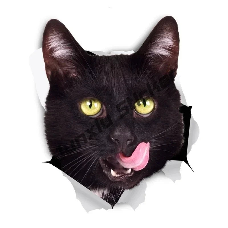 Cursed & Reflective — Black Cat Decal Sticker