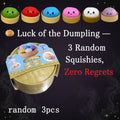 Squish Your Feelings — Dumpling Mystery Fidgets