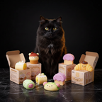 Black Cat Guardian with Squishies