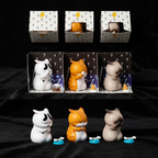 Blind Box Packaging