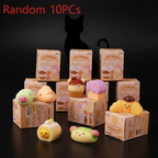 Random 10pcs Collection Shot